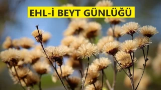Onları birleştiren dünyaya bağlılıkları