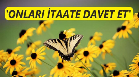 ‘Onları itaate davet et’