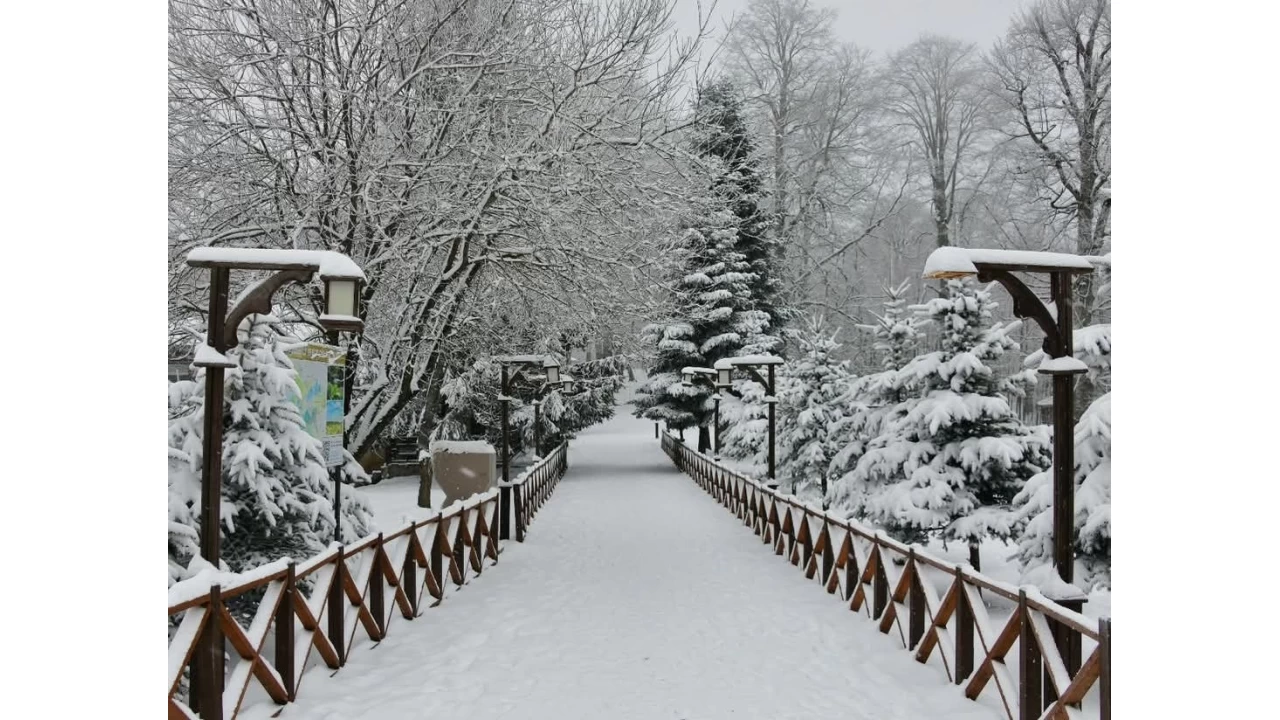 Ordu'nun 16 ilçesinde eğitime kar engeli