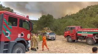 Orman Bölge Müdürü yangının ortasında kaldı