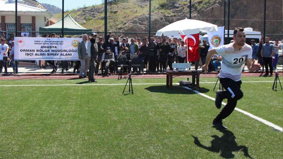 Orman işçisi olmak için yarıştılar