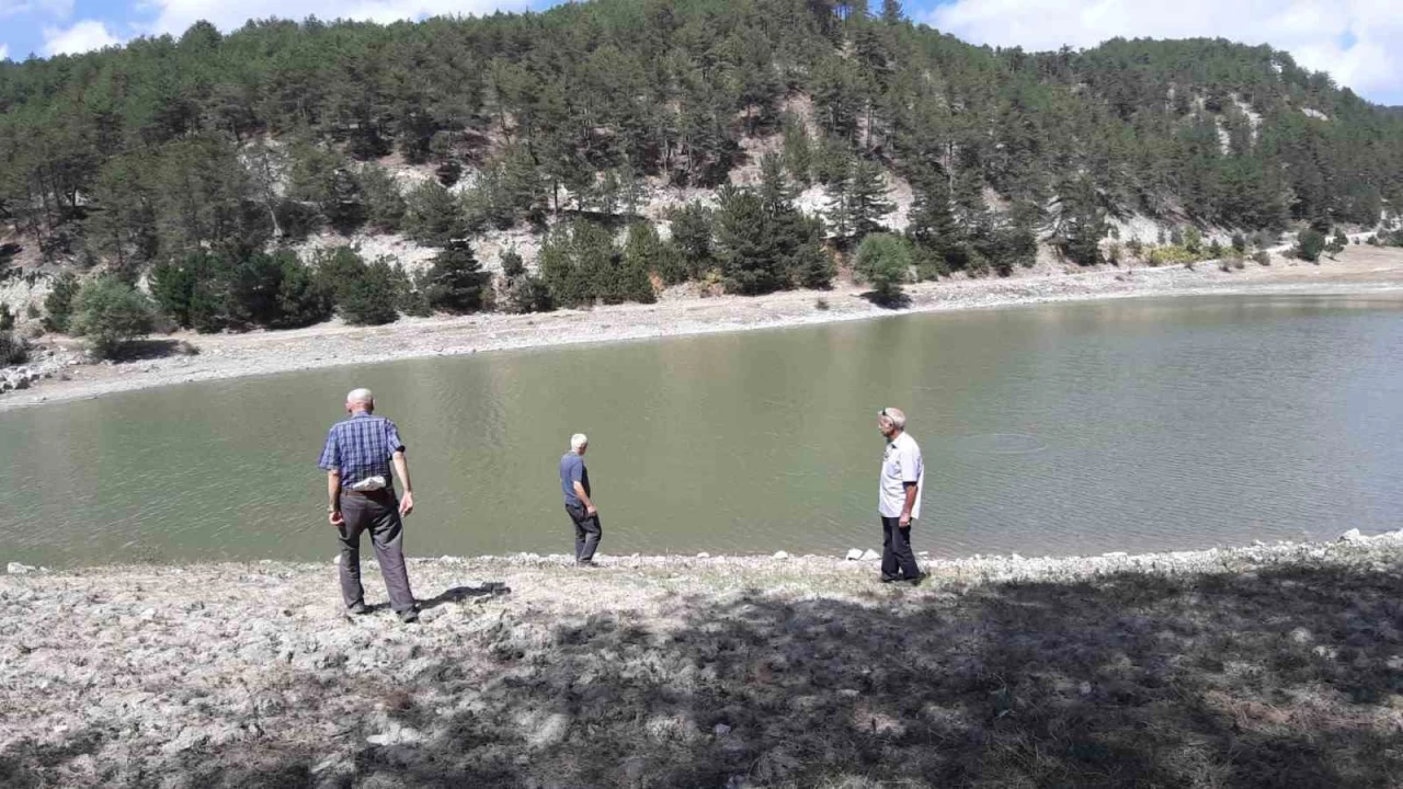 Orman yang�n�nda kritik rol oynayan g�let, can �eki�iyor