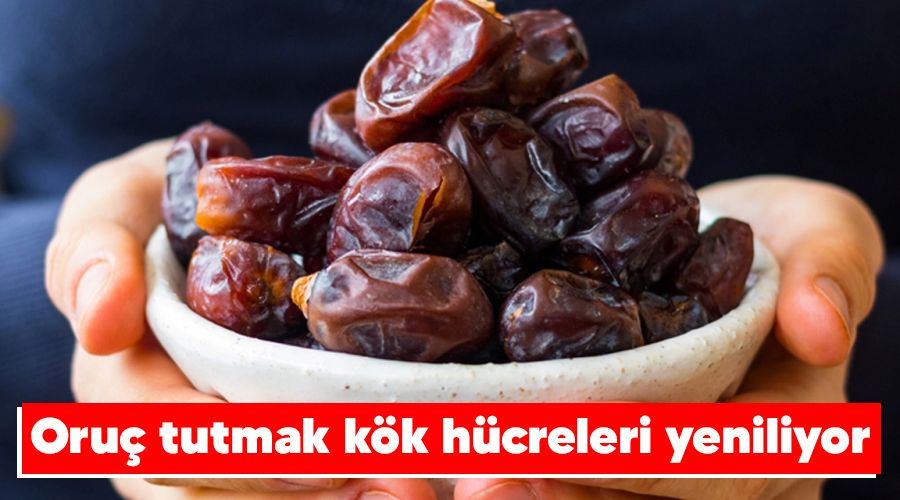 Oru� tutmak k�k h�creleri yeniliyor