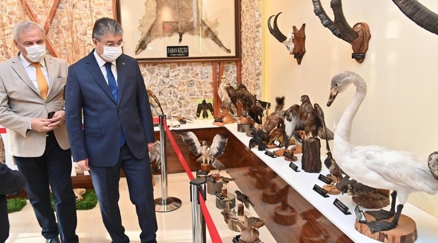 Osmaniye'de yaban hayvanları 73 tahnitle tanıtılıyor