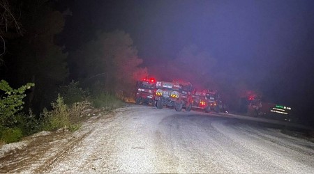 Osmaniye'deki orman yangını kontrol altına alındı