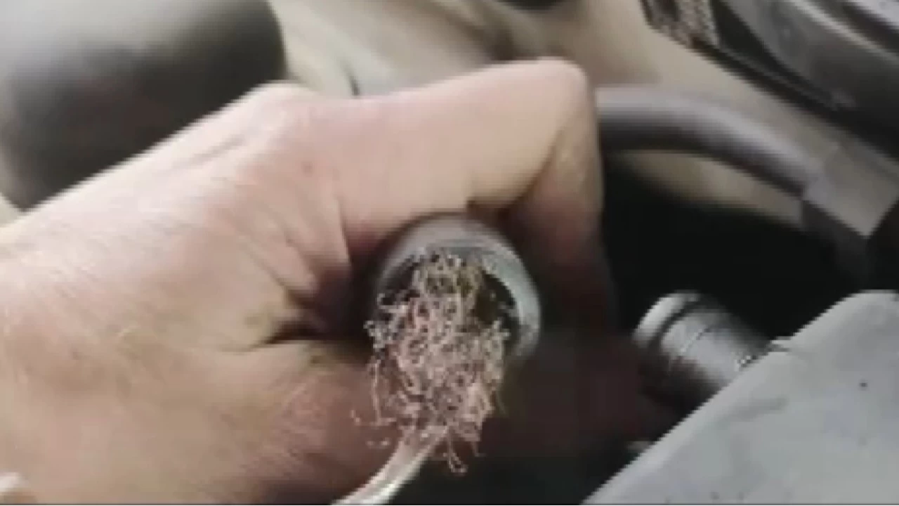 Otomobilin motorundan bulaşık teli çıktı... Niçin konulmuş?