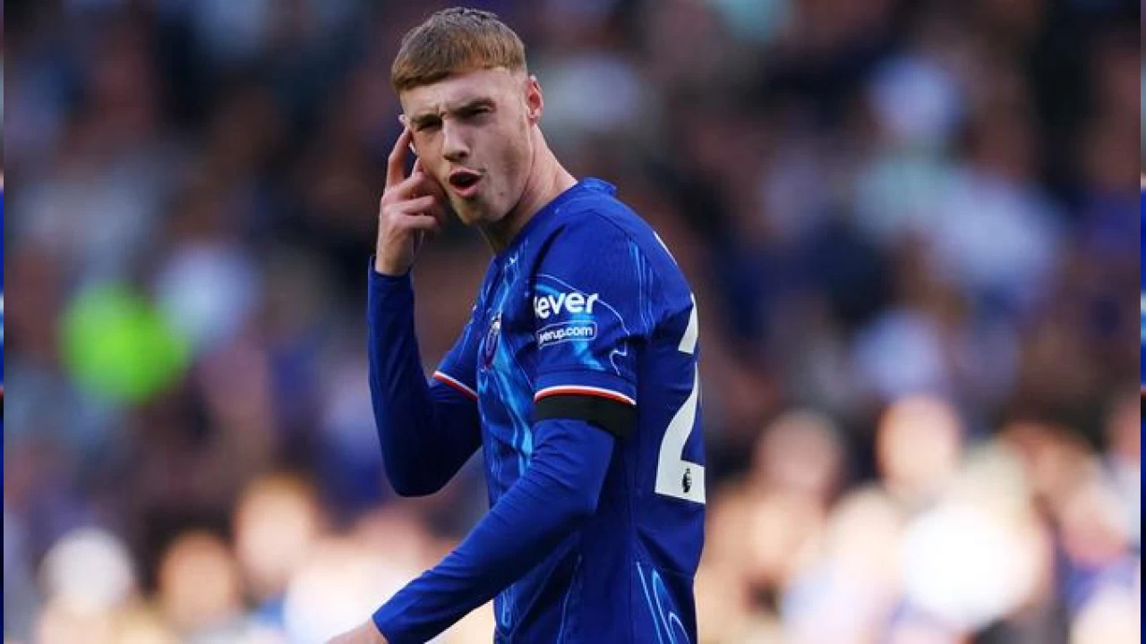 Palmer'dan tarihi performans 