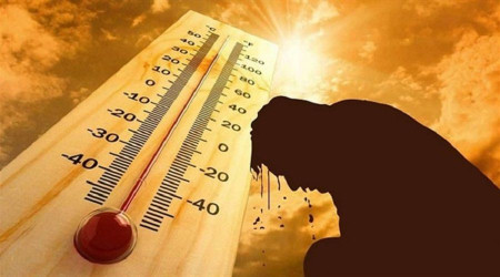 Polonya'da ar scaklardan 157 kii hayatn kaybetti