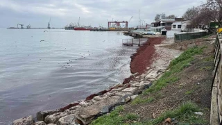 Poyraz sahili k�rm�z�ya boyad�