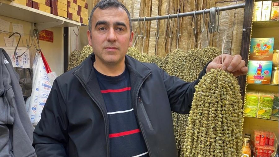 Ramazan'ın yaklaşmasıyla bamyaya ilgi arttı