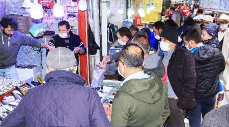 Samsun'da hamsi 10 TL'ye düştü