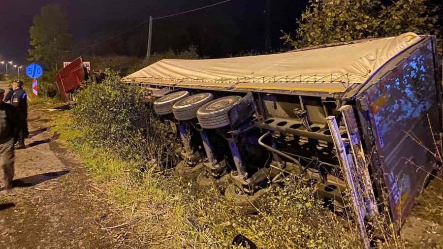Samsun'da tomruk yüklü tır devrildi