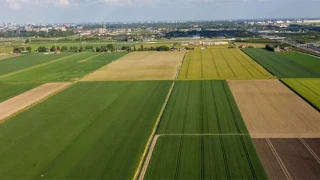 Sar��am tar�m�n�n gelece�i ve beklentiler