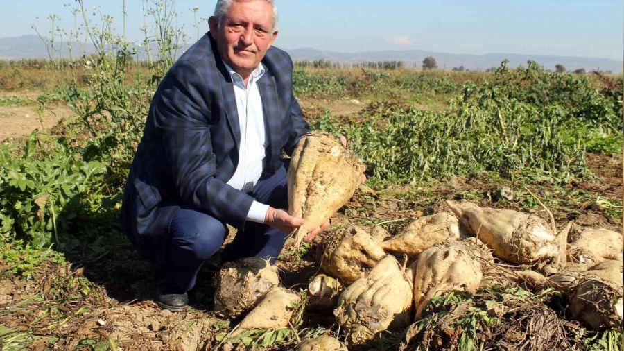 �eker pancar�nda kalite seferberli�i