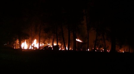 Serik ilçesindeki yangın kontrol altına alındı