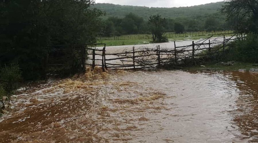 �iddetli ya��� sonras� tarlalar sular alt�nda kald�