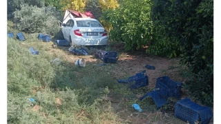 Silifke'de otomobil baheye dald: 1 l, 3 yaral