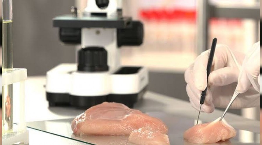 Singapur'da laboratuvar retimi 'tavuk eti' sata sunuldu