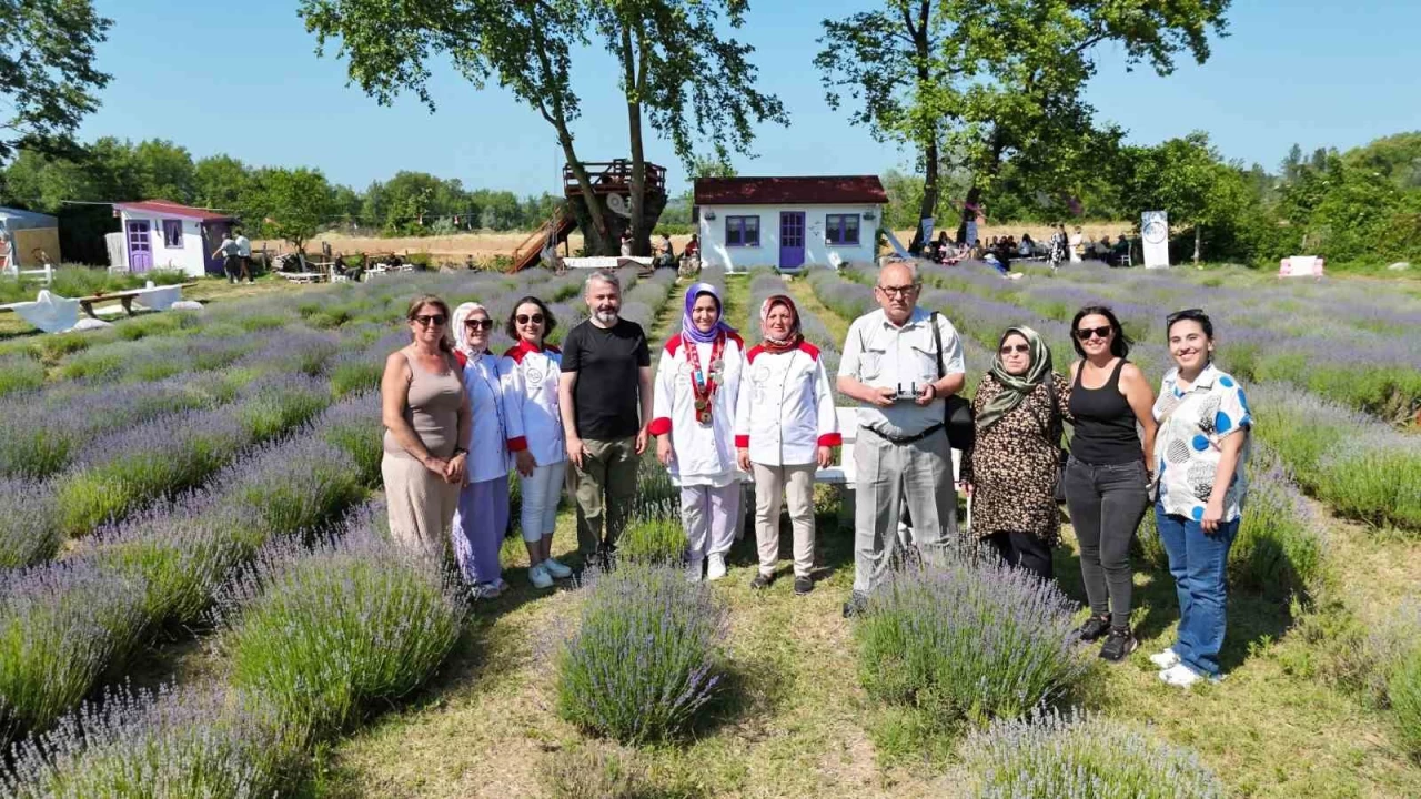 Sinop'ta yöresel lezzetlere mor dokunuş