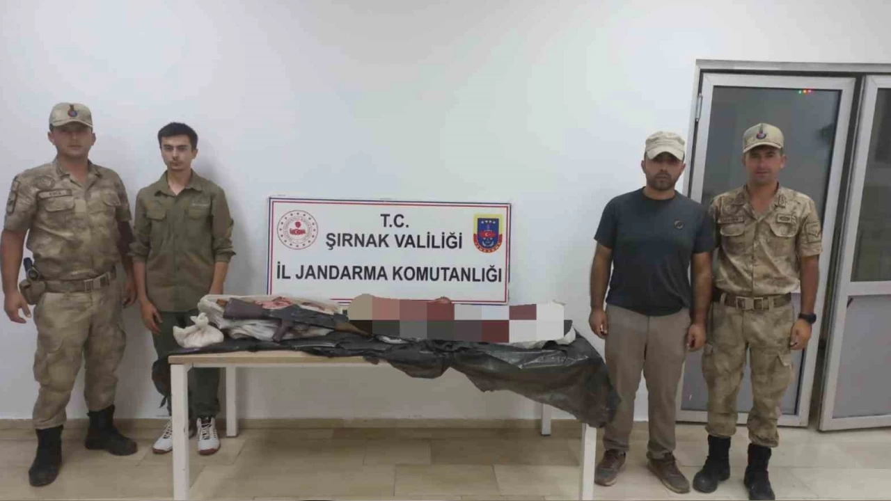 Şırnak'ta yaban keçesi avlayan şahsa 660 TL ceza kesildi