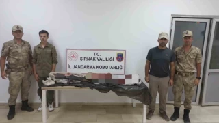 Şırnak'ta yaban keçesi avlayan şahsa 660 TL ceza kesildi