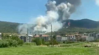 Soma'da orman yangn