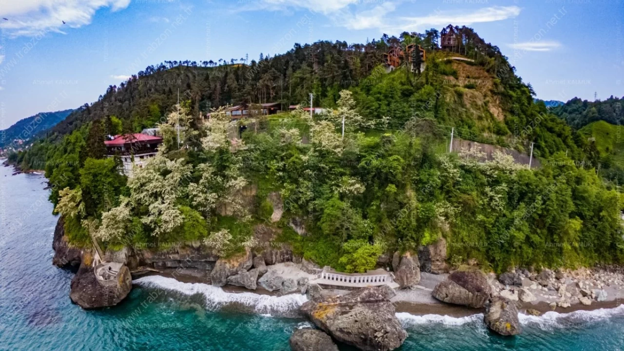 Sürmene Çamburnu Tabiat Parkı: Karadeniz’in en nadir doğal birleşimlerinden biri, orman ve deniz