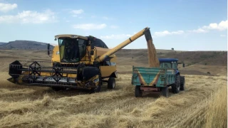 Tar�m girdi fiyat endeksi y�ll�k y�zde 34.24 artt�