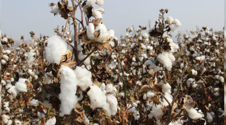 Tar�m sekt�r� isyanda, onlar da dertli !