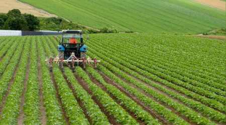 Tarımda üretici enflasyonu yüksek