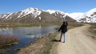 Tatvan'da tarım arazileri suya gömüldü