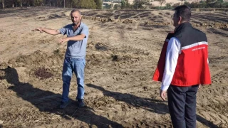 Tekirda'da 35 hayvan yanarak telef oldu