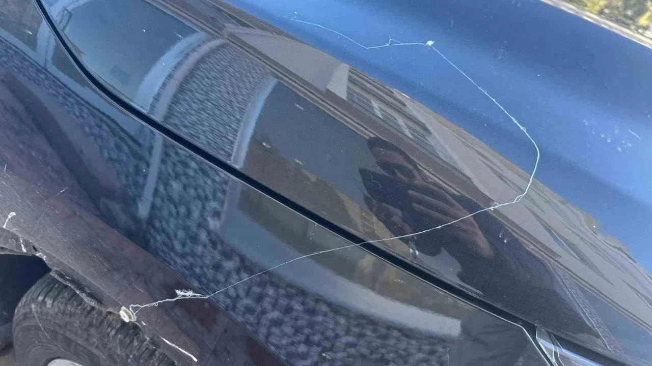 Tekirdağ'da gökyüzünden 'örümcek ağı' yağdı