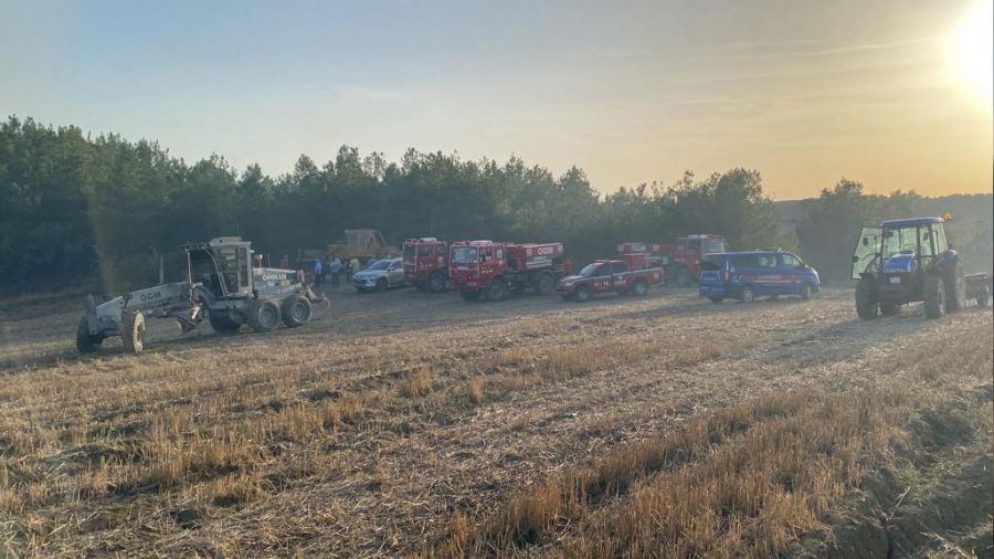 Tekirdağ'da orman yangını