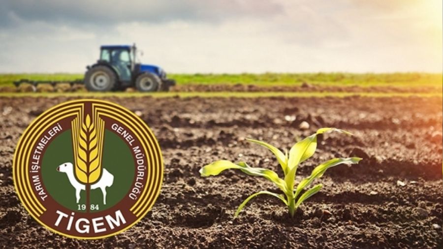 TİGEM 50 personel alacak