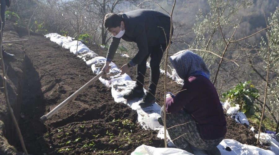 Trabzon'da ilk kez dikimi yapıldı