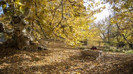 Tunceli'de "Sonbahar ve Kış kucak kucağa yaşıyor"