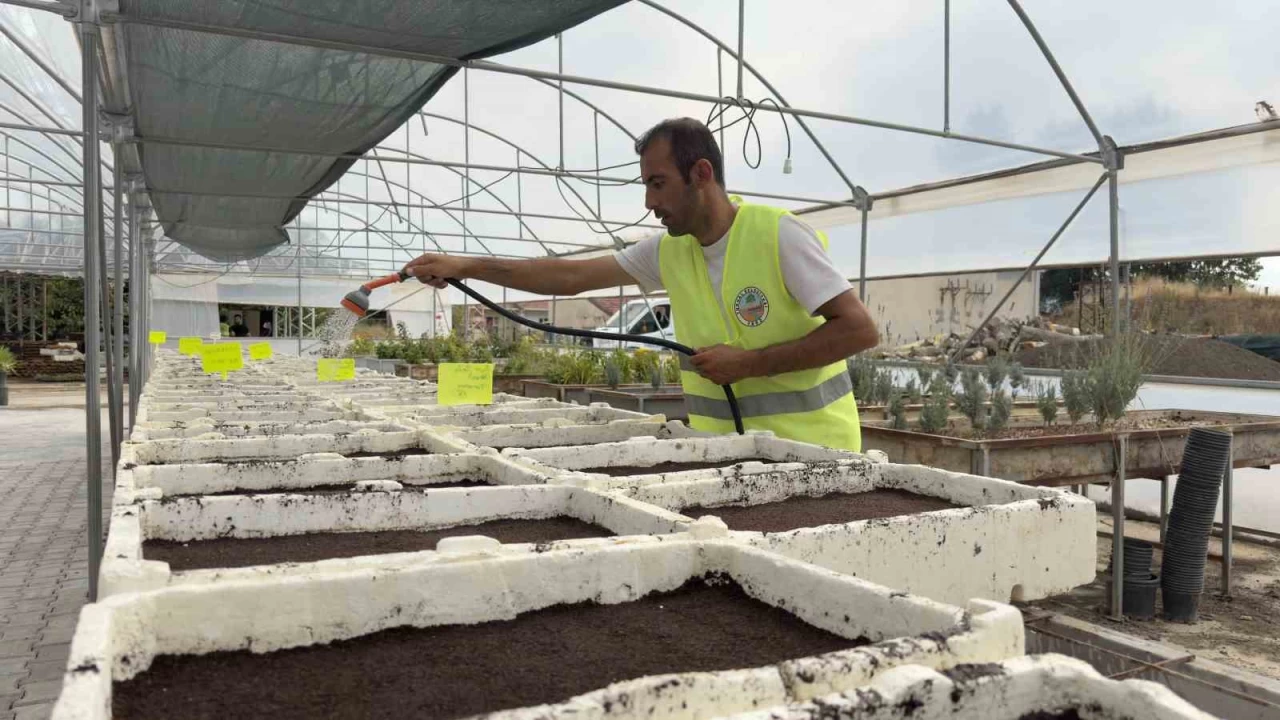 Turhal'ın yeşil alanları kendi üretimleriyle güzelleşiyor