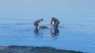 Turistik şehrimizde denizde erkek cesedi bulundu
