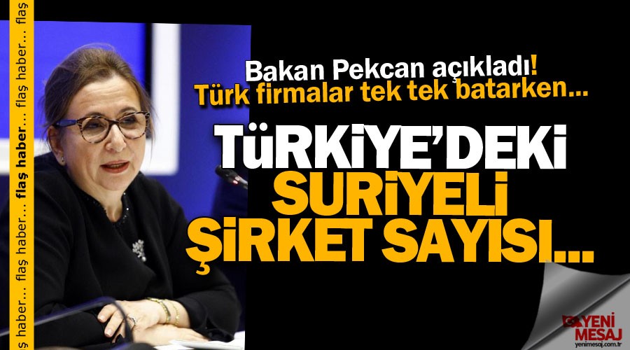 Türkiye'de 15 binden fazla Suriyeli şirket var