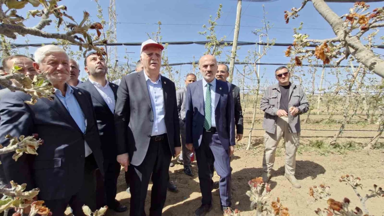 TZOB Başkanı Bayraktar: Zirai don ile büyük bir felaket yaşandı