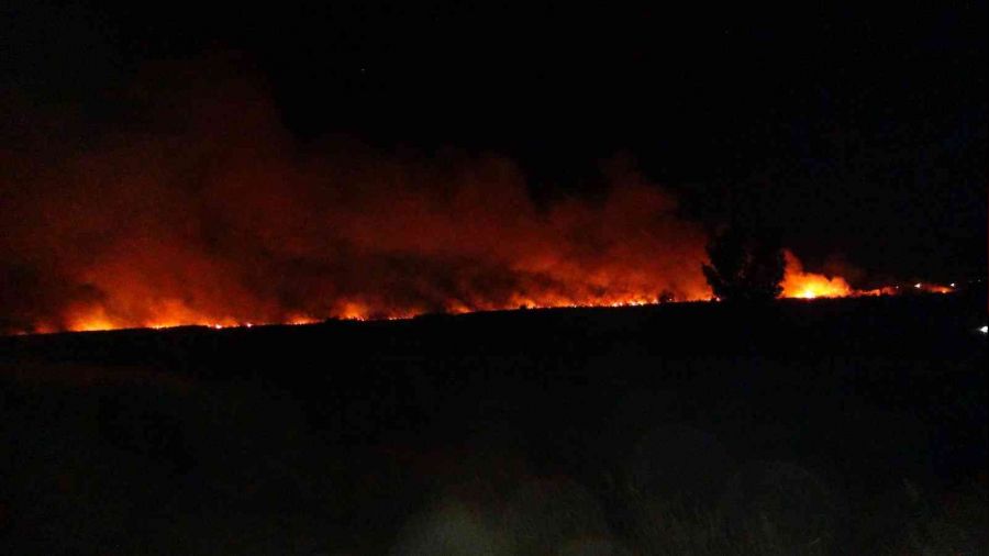 Uluslararas� koruma alt�nda bulunan G�ksu Deltas�'nda yang�n