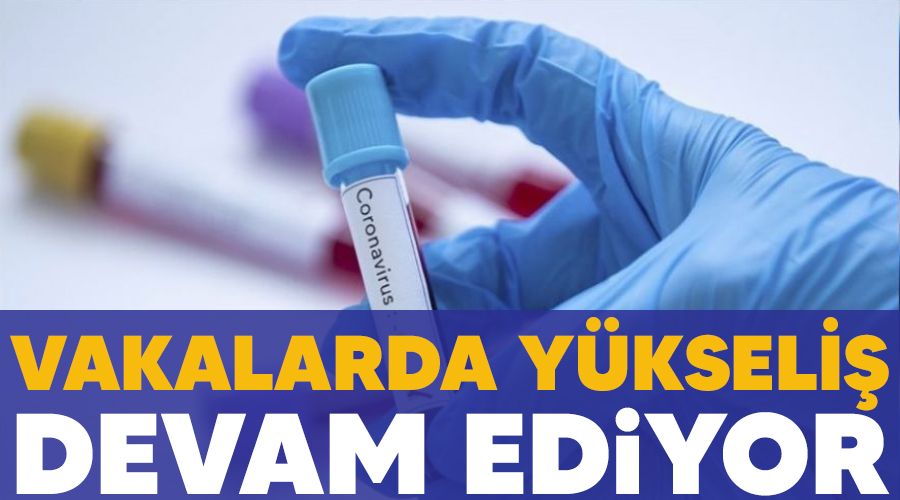 Vakalarda yükseliş devam ediyor