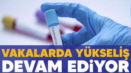 Vakalarda yükseliş devam ediyor