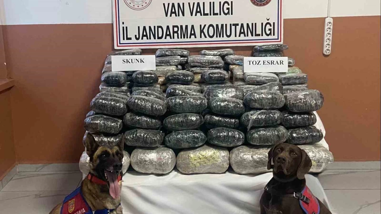 Van'da kilolarca uyu�turucu ele ge�irildi