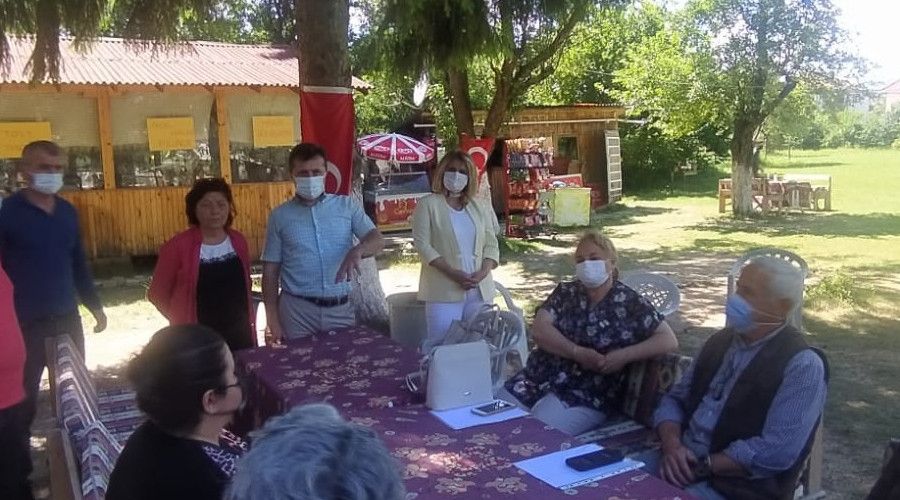 Vitamin deposu 'Mürver' meyvesi Kastamonu'da yetiştirilecek