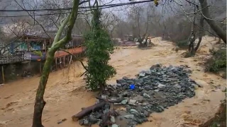 Yalova’da dereler taştı, 5 büyükbaş hayvan telef oldu