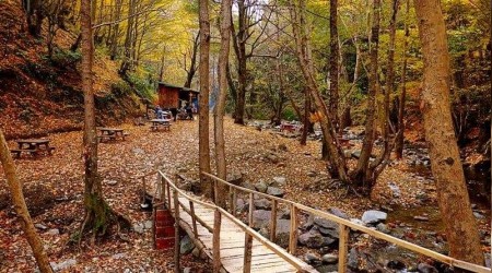 Yalova'da mesire yeri ihaleyle kiraya verilecek
