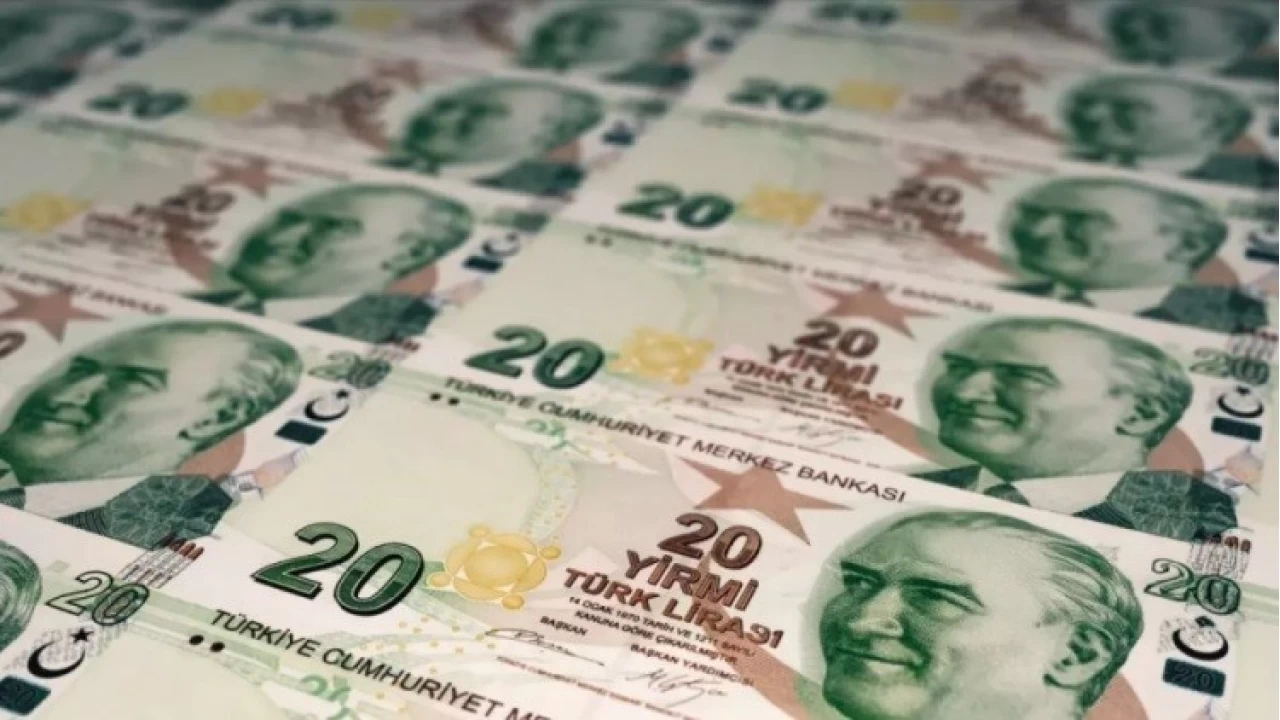 Yeni 20 TL banknotlar tedavle girdi