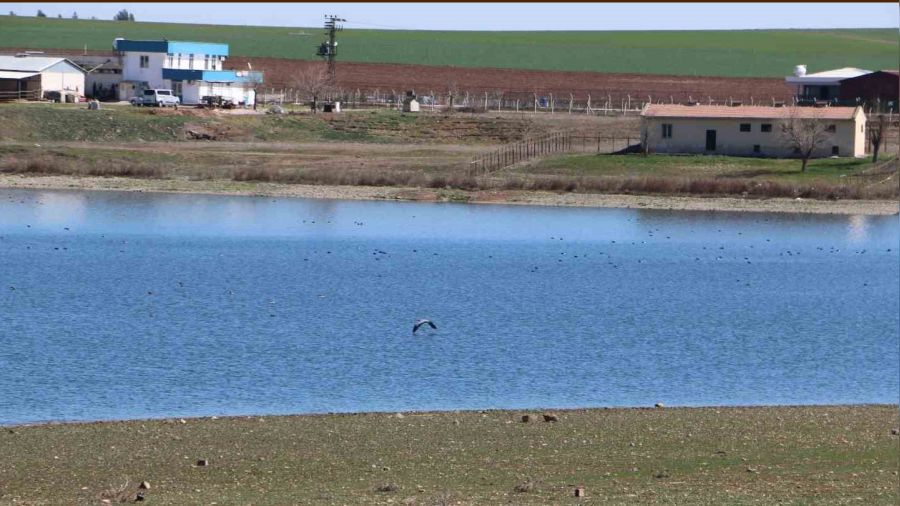 Yer alt�ndaki canl�lar depremi �ncesinden hissetti�i i�in zarar� minimum ya�ad�